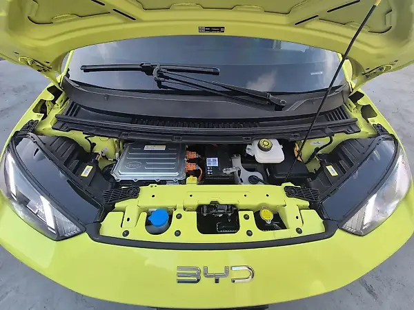 BYD Dolphin Mini - Imagem 13
