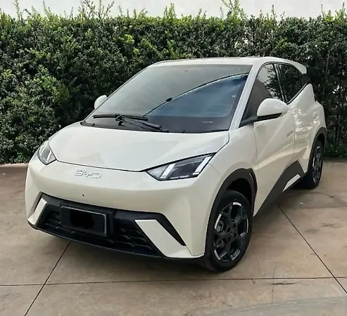 BYD Dolphin Mini - Imagem 2