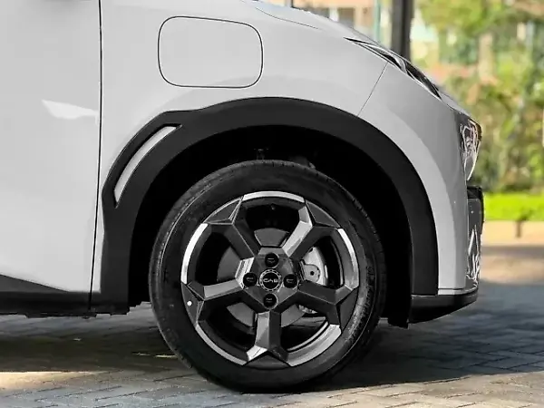 BYD Dolphin Mini - Imagem 12