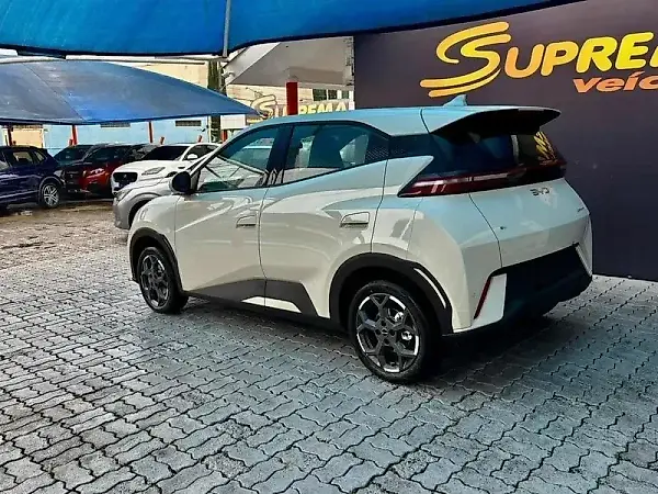 BYD Dolphin Mini - Imagem 10