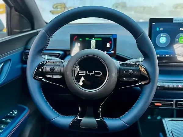 BYD Dolphin Mini - Imagem 14