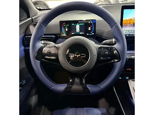 BYD Dolphin Mini - Imagem 8