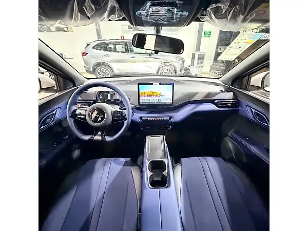 BYD Dolphin Mini - Imagem 11