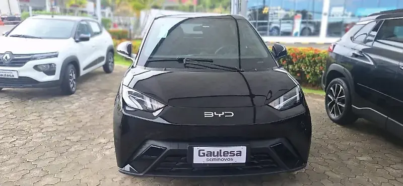 BYD Dolphin Mini - Imagem 8