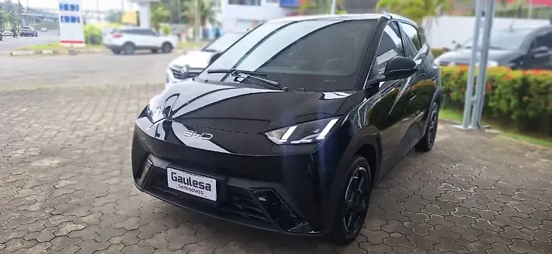 BYD Dolphin Mini - Imagem 10