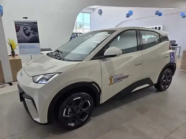 BYD Dolphin Mini - Imagem 1