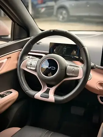 BYD Dolphin Mini - Imagem 9