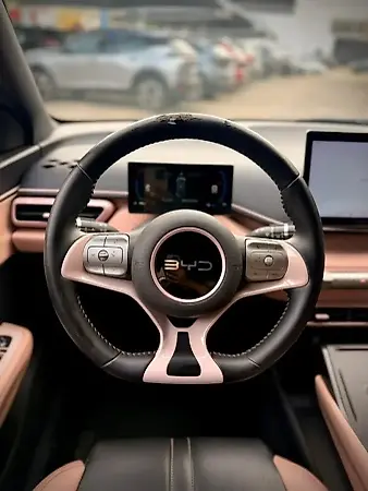 BYD Dolphin Mini - Imagem 10