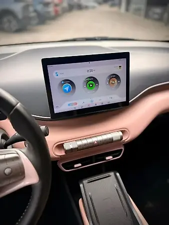 BYD Dolphin Mini - Imagem 13