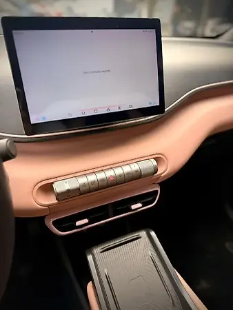 BYD Dolphin Mini - Imagem 14