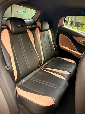 BYD Dolphin Mini - Imagem 16