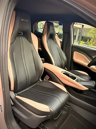 BYD Dolphin Mini - Imagem 17