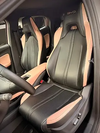 BYD Dolphin Mini - Imagem 19