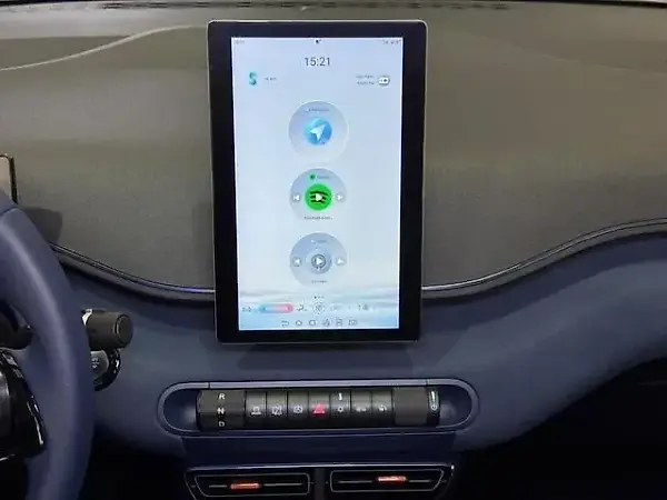 BYD Dolphin Mini - Imagem 12