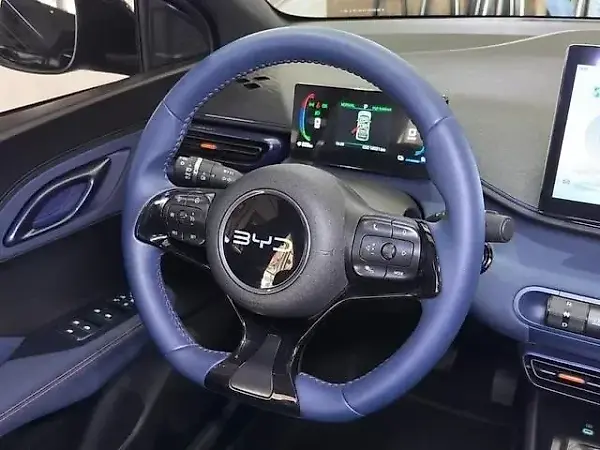 BYD Dolphin Mini - Imagem 16