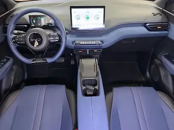 BYD Dolphin Mini - Imagem 19