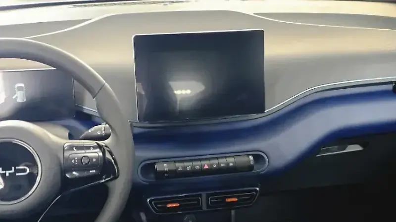 BYD Dolphin Mini - Imagem 14