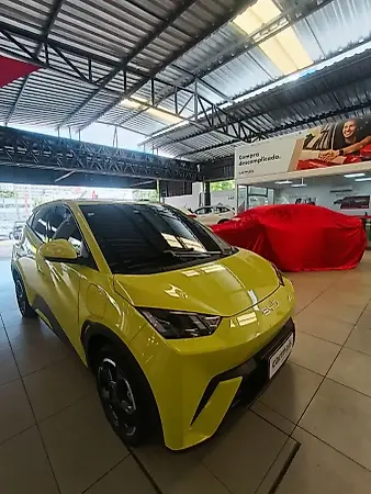 BYD Dolphin Mini - Imagem 3