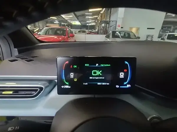 BYD Dolphin Mini - Imagem 15