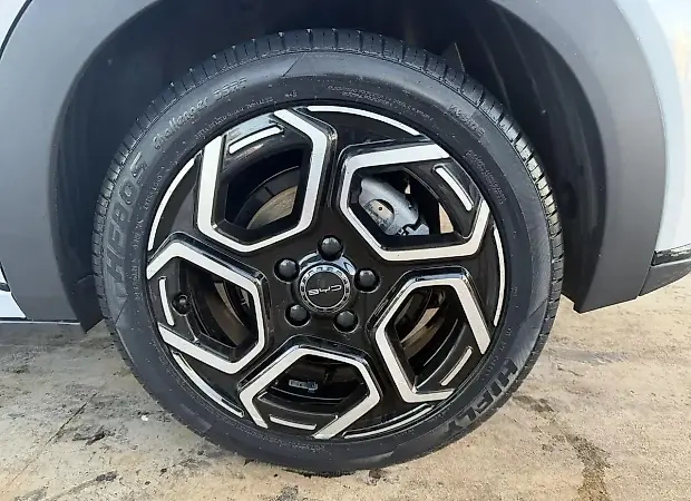 BYD Dolphin Plus - Imagem 16