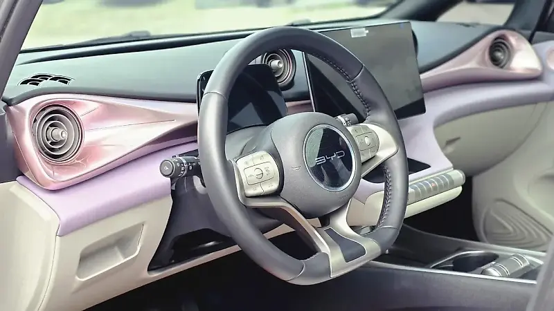 BYD Dolphin Plus - Imagem 9