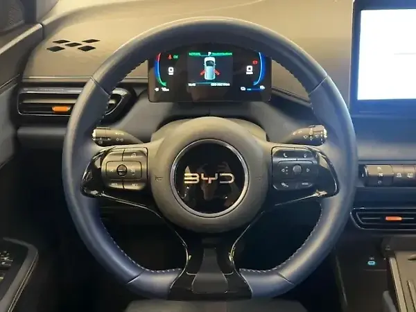BYD Dolphin Mini - Imagem 8