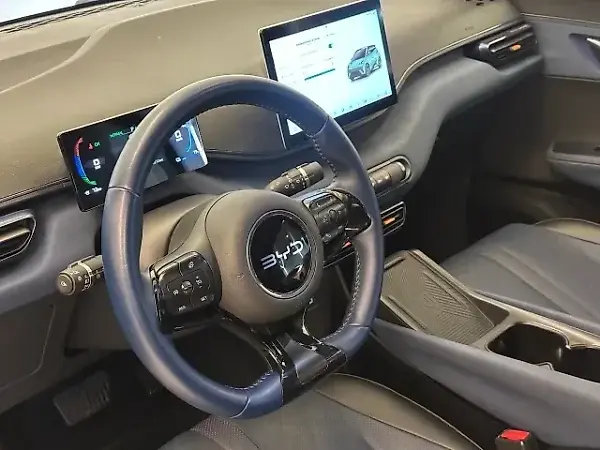 BYD Dolphin Mini - Imagem 10