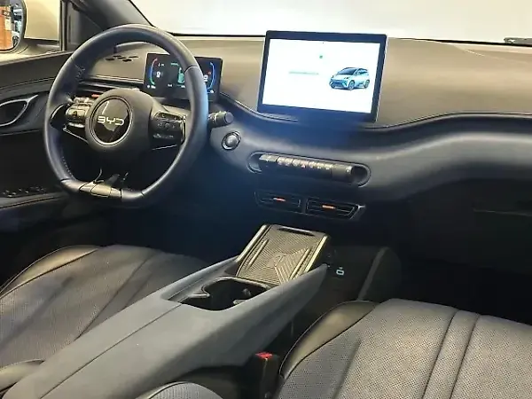 BYD Dolphin Mini - Imagem 11