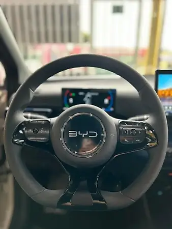 BYD Dolphin Mini - Imagem 8