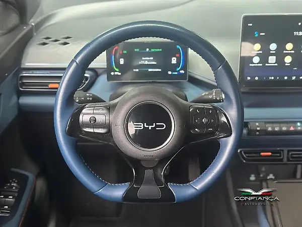 BYD Dolphin Mini - Imagem 13