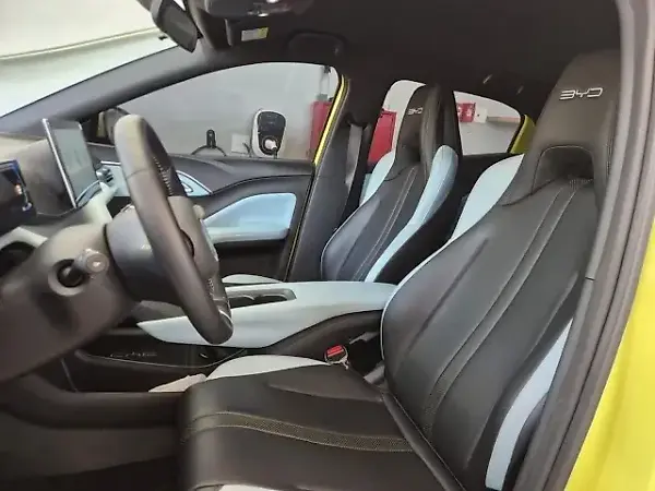 BYD Dolphin Mini - Imagem 6