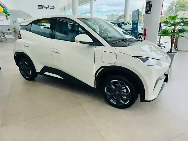 BYD Dolphin Mini - Imagem 3