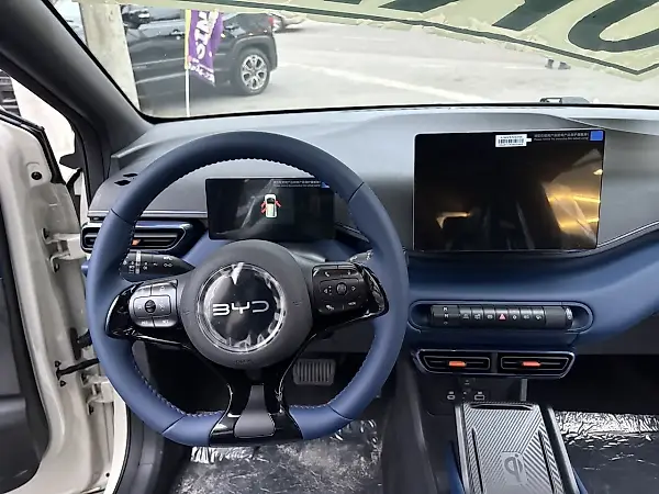 BYD Dolphin Mini - Imagem 9