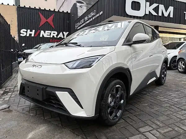 BYD Dolphin Mini - Imagem 12