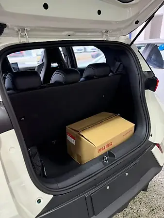 BYD Dolphin Mini - Imagem 4