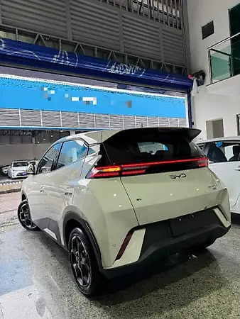 BYD Dolphin Mini - Imagem 8