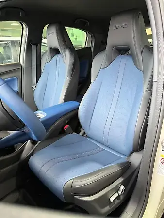 BYD Dolphin Mini - Imagem 13