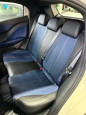 BYD Dolphin Mini - Imagem 14