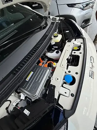 BYD Dolphin Mini - Imagem 16