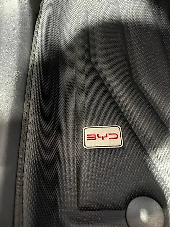 BYD Dolphin Mini - Imagem 15