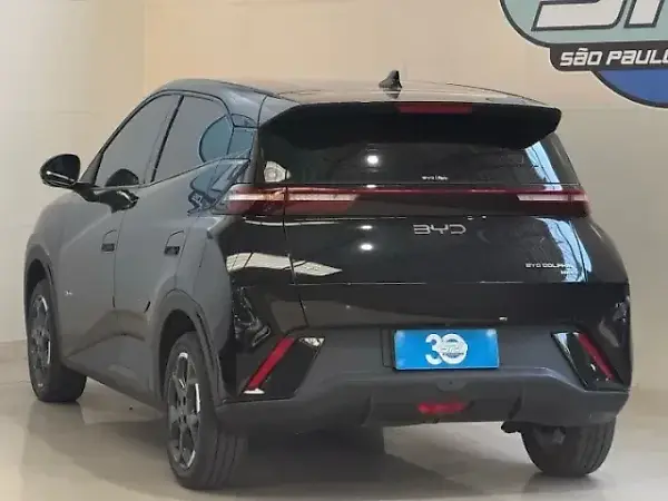 BYD Dolphin Mini - Imagem 3
