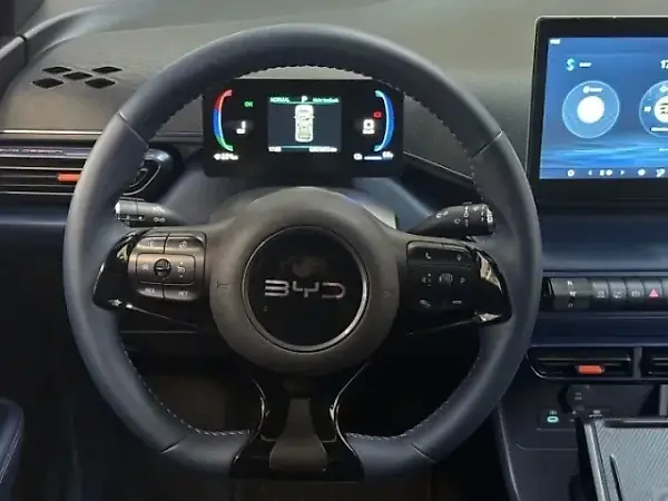 BYD Dolphin Mini - Imagem 18
