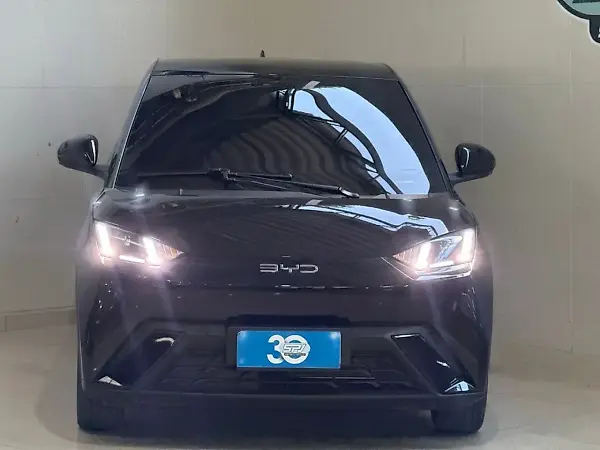 BYD Dolphin Mini - Imagem 2