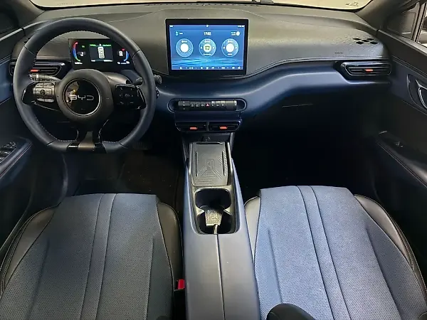 BYD Dolphin Mini - Imagem 11