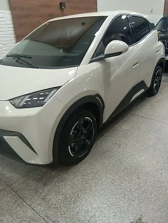 BYD Dolphin Mini - Imagem 2