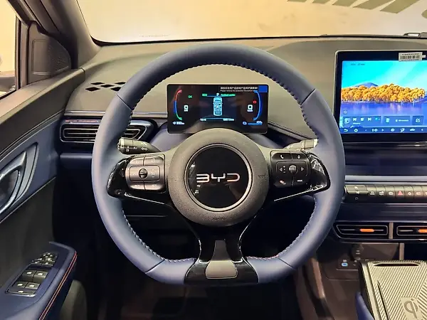 BYD Dolphin Mini - Imagem 11
