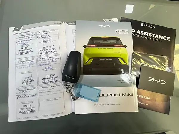 BYD Dolphin Mini - Imagem 2