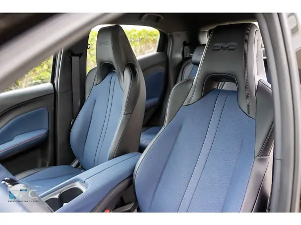 BYD Dolphin Mini - Imagem 16