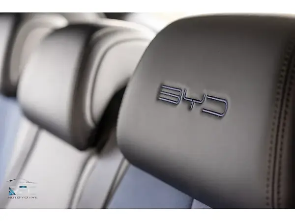 BYD Dolphin Mini - Imagem 15