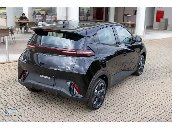 BYD Dolphin Mini - Imagem 11
